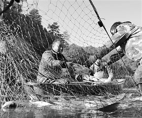 發(fā)展生態(tài)水產(chǎn)養(yǎng)殖，提升水產(chǎn)品質(zhì)量