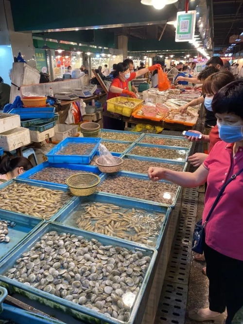 5月1日起溫州全面進入海洋伏季休漁期 還能享受哪些海鮮與養(yǎng)殖水產(chǎn)品？