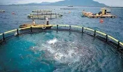 水產養殖新規出臺，是挑戰更是機遇 凈水漁業引領產業未來